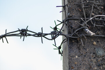 barbed wire fence