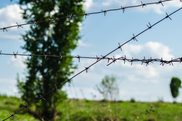barbed wire against the sky