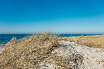 beautiful landmark darß on the baltic sea in germany