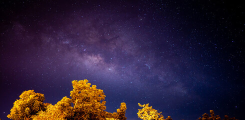 Stars milky way galaxy on nigth sky, milkyway is beauty nebula in universe, light stars on nature blue dark background  from telescope view and tree  © Torychemistry
