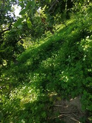 paisajes sin parangón de origen mediterráneo