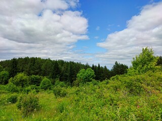 Fototapeta na wymiar beautiful blue sky with clouds over a green meadow near the forest