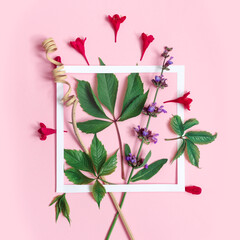 Sage branch and Weigela flowers with white paper frame on pink background.