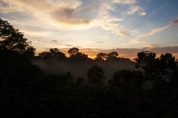 Torre en Parque Nacional Yasuni