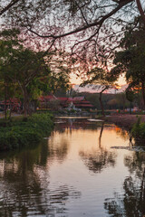 Fototapeta na wymiar Sunset on the lake in the park in Thailand