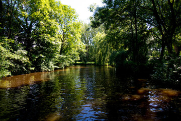 the river in the park