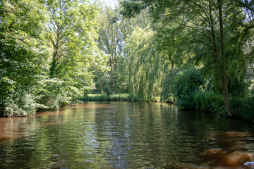 the river in the park