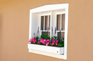 Window Box with Flowers on an Adobe House