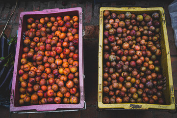 Crab apples (Malus doumeri) sold in Luang Prabang Morning Market in Laos that shows the life, culture and livelihood of the local people