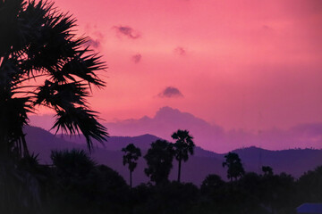 Fototapeta na wymiar Beautiful pink sunset sky and silhouettes over Fish Island in Kampot, Cambodia