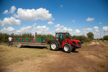 A red lorry carrying plastic containers in the plantation