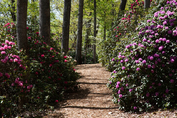 Garden Path