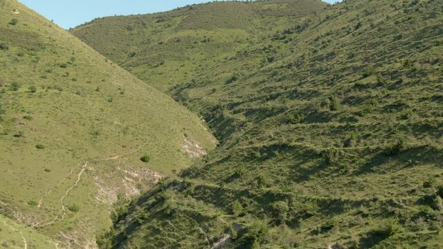 Vuelo sobre bosques