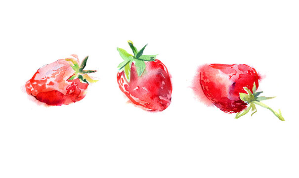 Hand drawn watercolor illustration of Fresh Strawberries. , Isolated on white background