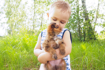 a little boy in the summer in the forest sits on a stump and hugs a little brown puppy..