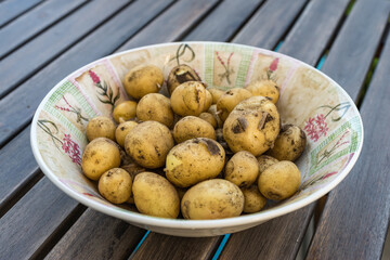 Pomme de terre nouvelle