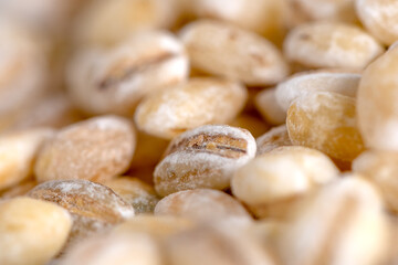Pearl barley texture macro close up background