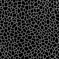  Seamless pattern.The cracks texture white and black. Vector background. For design and decorate path, wall, backdrop. Endless  stone texture.Broken glass