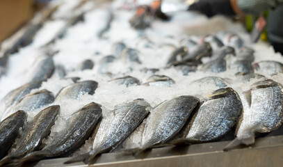 Close-up of fresh fishes in ice ready to sell in departement store