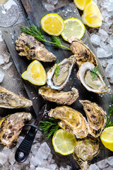 top view of delicious oysters on ice cubes and wine glass