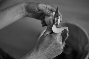 a woman in the kitchen peeling potatoes
