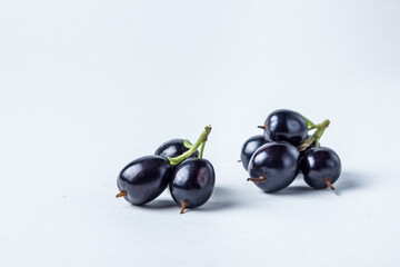 Black currant on a white background. Two brushes of black currant lie next to each other