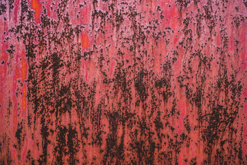 The old iron background is painted in red, pink, purple with rust and chips.