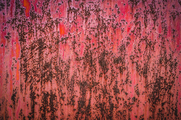 The old iron background is painted in red, pink, purple with rust and chips.
