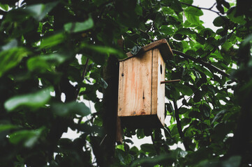 Drewniany domek dla ptaków zawieszony na drzewie