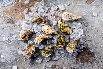 top view of delicious oysters on ice cubes and wine glass