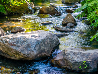 Mountain stream during Spring time