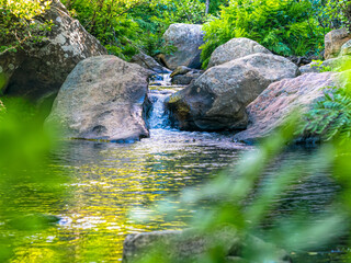Mountain stream 
