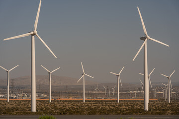 Fototapeta premium Renewable energy, wind turbine farms near Palm Springs in California