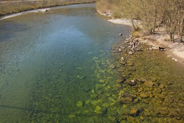 river in the forest