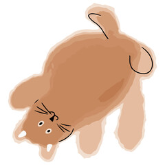 A playful brown cat.