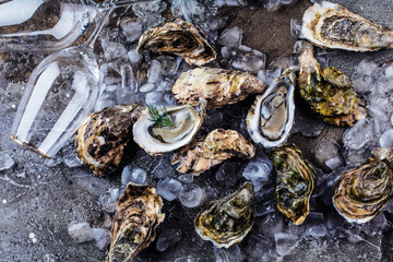 top view of delicious oysters on ice cubes and wine glass