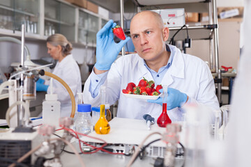 Scientist checking agricultural products