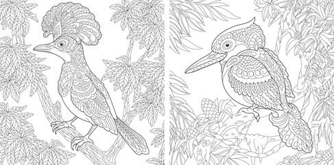 Coloring pages with exotic tropical birds