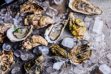 top view of delicious oysters on ice cubes and wine glass