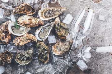 top view of delicious oysters on ice cubes and wine glass