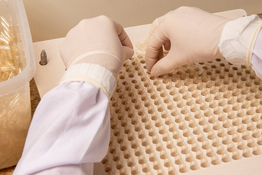 pharmaceutical using encapsulating plate for the production of homeopathic or allopathic remedies