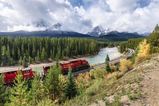 Canadian Pacific Railway long freight passing in autumn valley and bow river at Morant's Curve