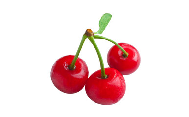 Three wet cherries on a white background.