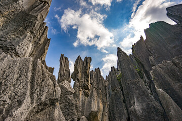 Fototapeta premium Shilin Stone Forest Yunnan Kunming China