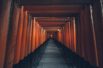 Fushimi Inari Taisha with stone pathway surrounded by red Torii gates and illuminated by traditional lantern