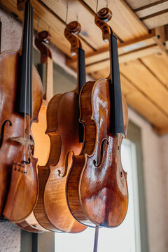 Collection of violins hanged at ceiling and drying after lacquering outdoors against blurred exterior of light modern workshop