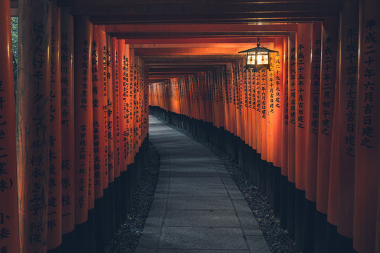 Fushimi Inari Taisha with stone pathway surrounded by red Torii gates and illuminated by traditional lantern