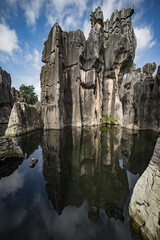 Fototapeta na wymiar Shilin Stone Forest Yunnan Kunming China