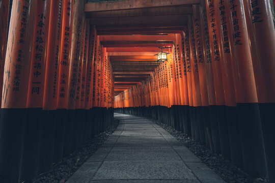 Fushimi Inari Taisha with stone pathway surrounded by red Torii gates and illuminated by traditional lantern