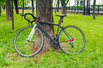 Fototapeta premium Racing bicycle in a summer park